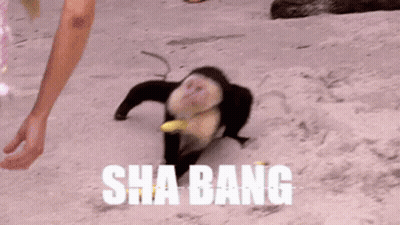 Monkey Walking On Beach Holding Banana With Person Behind GIF
