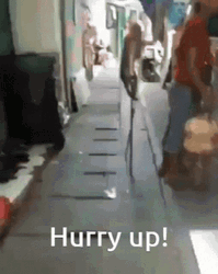 Monkey Walking On Stilts Hurry Up GIF