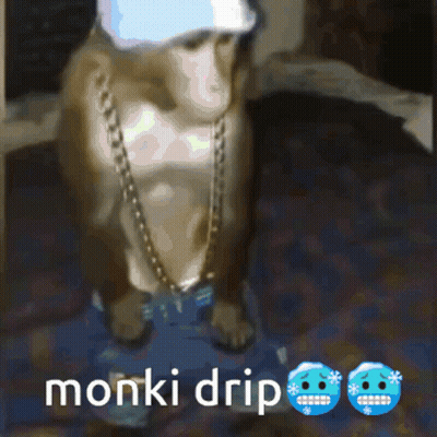 Monkey Wearing Chain And Hat Monki Drip GIF