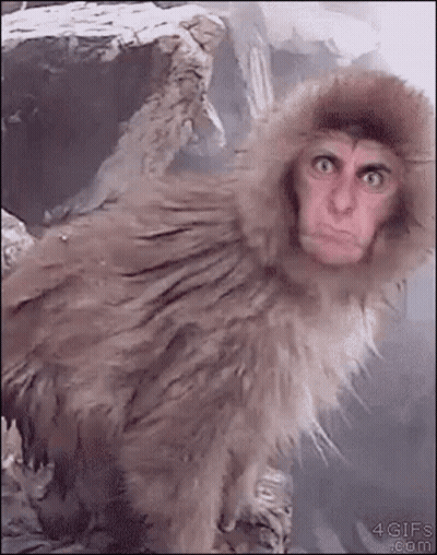 Monkey Wearing Fur Hood Making Funny Face GIF