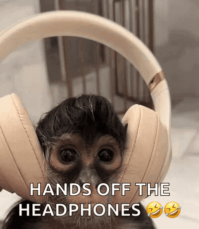 Monkey Wearing Headphones Saying Hands Off
