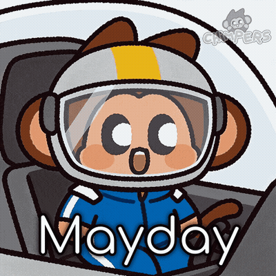 Monkey Wearing Helmet Mayday GIF