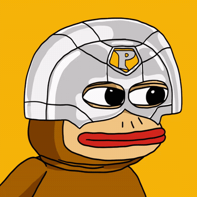 Monkey Wearing Helmet With P GIF
