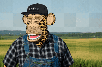 Monkey Wearing Overalls And BA & YC Hat GIF