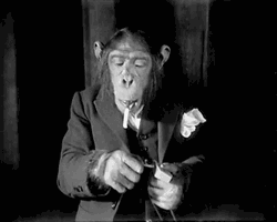 Monkey Wearing Suit Animated Smoke GIF