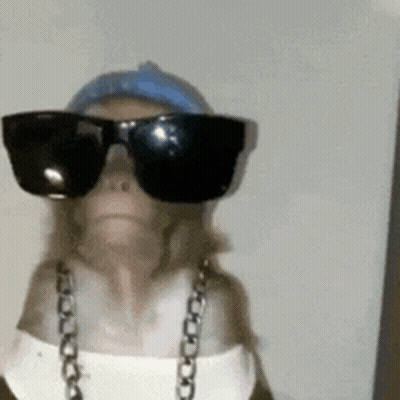 Monkey Wearing Sunglasses And Chain GIF