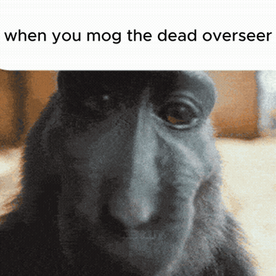 Monkey When You Mog The Dead Overseer GIF