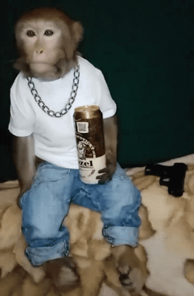 Monkey White Shirt Blue Jeans Holding Hazelnut Coffee GIF