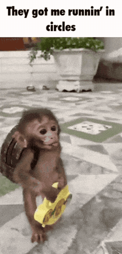 Monkey With Backpack Running In Circles GIF