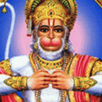 Monkey With Beard And Crown GIF
