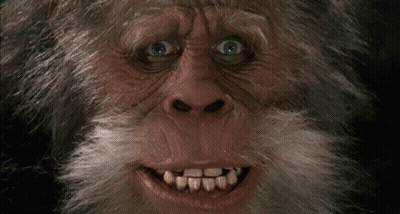 Monkey With Beard And Teeth GIF