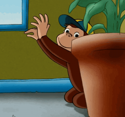 Monkey With Blue Hat GIF