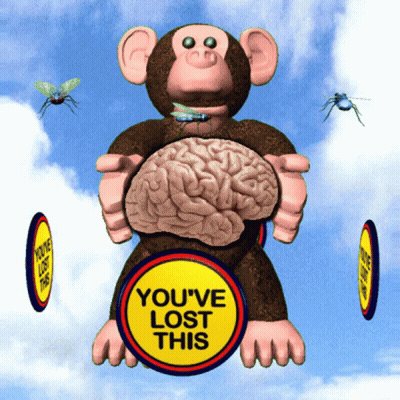 Monkey With Brain Yellow Sign You've Lost This GIF