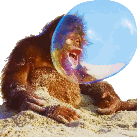 Monkey With Bubble Around Head Sticker