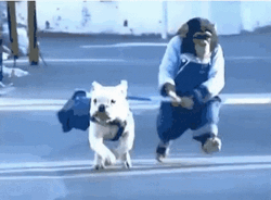 Monkey With Dog Running GIF