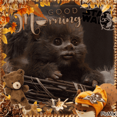 Monkey With Good Morning Star Wars GIF