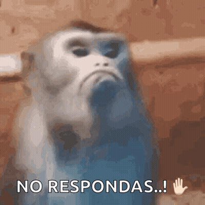 Monkey With Hand Up Saying No Respondas