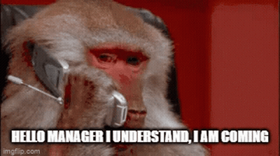 Monkey With Headset Saying Hello Manager I Understand I Am Coming GIF