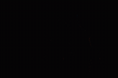 Monkey With Open Mouth And Tongue Out GIF