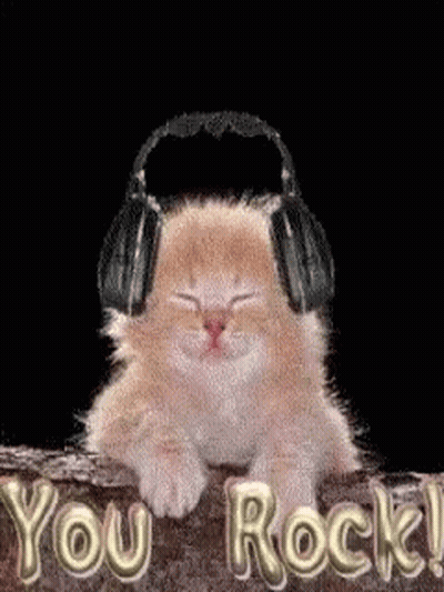 Monkey With Stars In Eyes Saying Chimpers GIF
