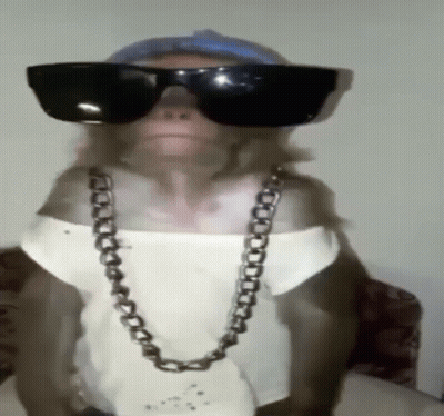 Monkey With Sunglasses And Chain GIF
