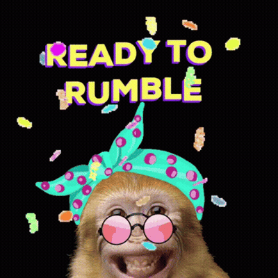 Monkey With Sunglasses And Headband Ready To Rumble GIF