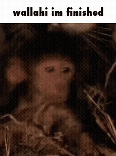 Monkey With Wallahi Im Finished GIF