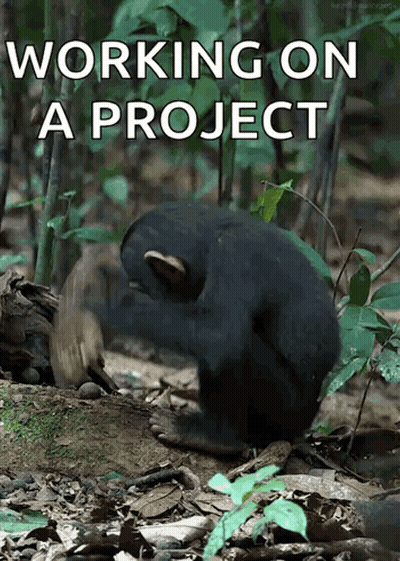 Monkey Working On A Project GIF