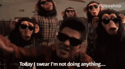 Monkeys Standing Around Sunglasses Man In Plaid Shirt GIF