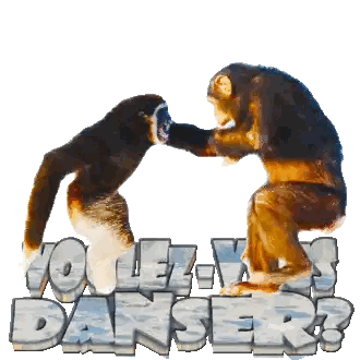 Monkeys Standing Next To Danser Sign Sticker