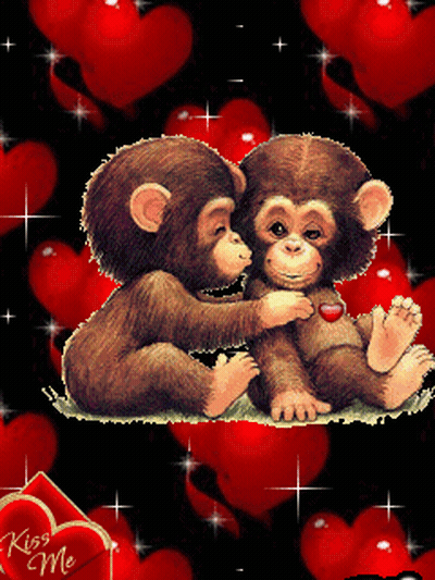 Monkeys With Hearts And Kiss Me Sign GIF