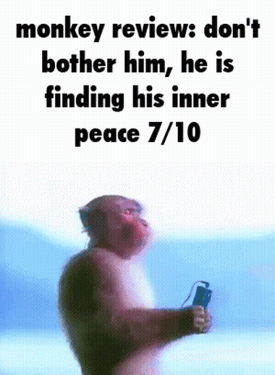 Monkie Review Too Silly GIF