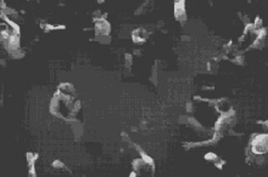 Monochromatic Shot Rowdy Fans In Mosh Pit GIF