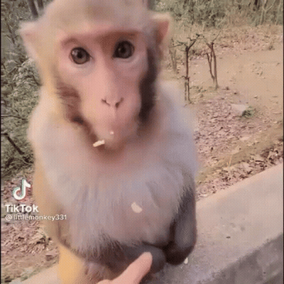 Monster Bloody Mouth Malphas Did Not Like That GIF