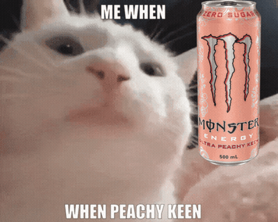 Monster Energy Can Next To Cat GIF