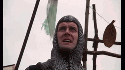 Monty Python And The Holy Grail A Blessing GIF