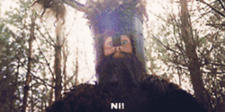 Monty Python Knights Having Fun GIF