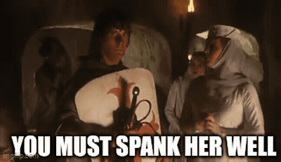 Monty Python Monty Python And The Holy Grail GIF
