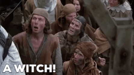 Monty Python Run Away A Witch GIF