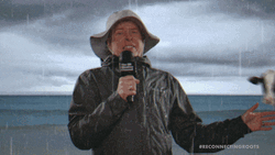 Moo Flying On The Winds GIF