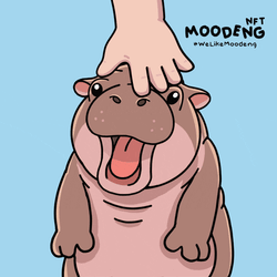 Moodeng Moodengnft GIF