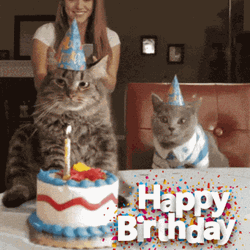 Moody Cat Happy Birthday GIF