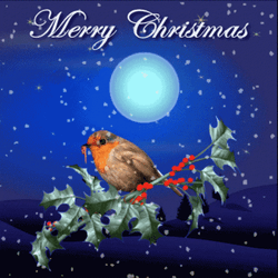Moon Christmas In July GIF