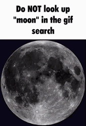 Moon Don't Look Up