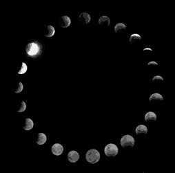 Moon GIF
