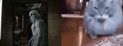 Moon Knight Cat Walking Comparison GIF