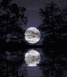 Moon Light Reflection