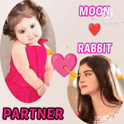 Moon Rabbit And Partner GIF