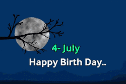 Moonlight 4Th Of July Birthday GIF