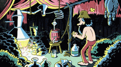Moonshine Okay Lets Have Fun GIF